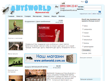 Tablet Screenshot of antsworld.com.ua